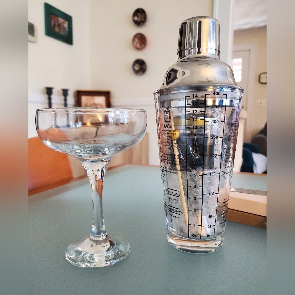 Martini shaker and glass kit